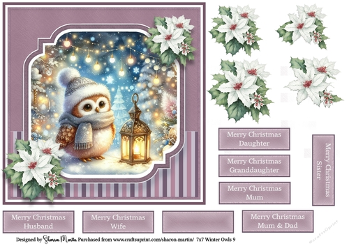 7x7 Winter Owls 9