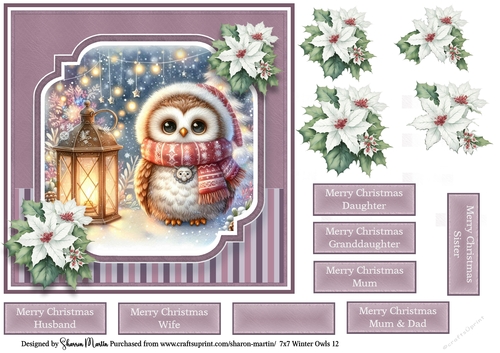 7x7 Winter Owls 12