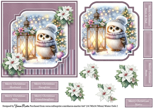 6x6 Winter Owls 2