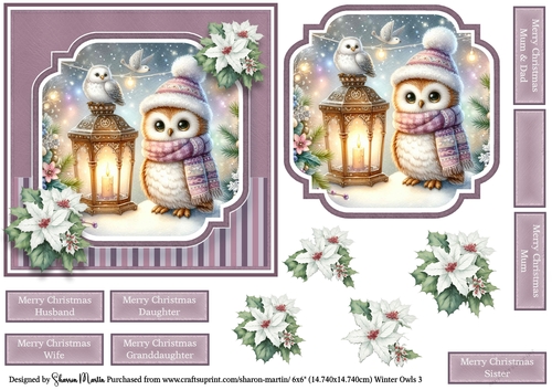6x6 Winter Owls 3