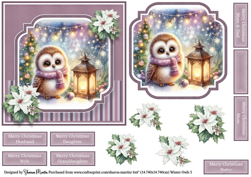 6x6 Winter Owls 5