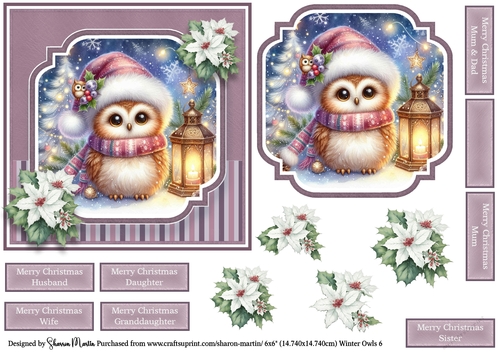 6x6 Winter Owls 6