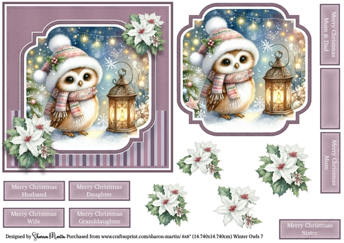 6x6 Winter Owls 7