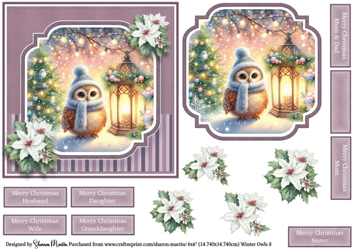 6x6 Winter Owls 8