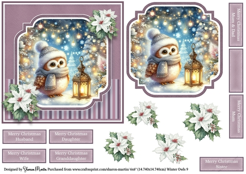 6x6 Winter Owls 9