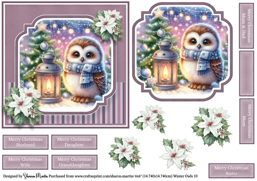 6x6 Winter Owls 10