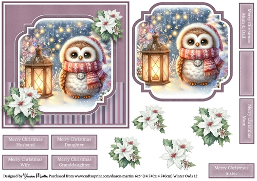 6x6 Winter Owls 12