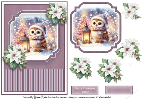 A5 Winter Owls 1