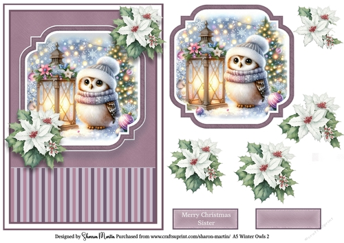 A5 Winter Owls 2