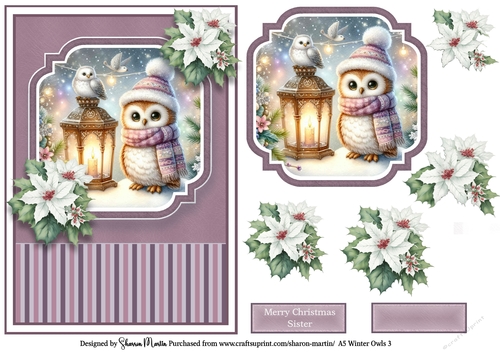 A5 Winter Owls 3