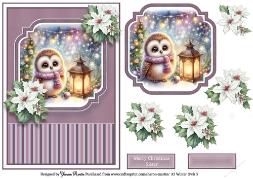 A5 Winter Owls 5