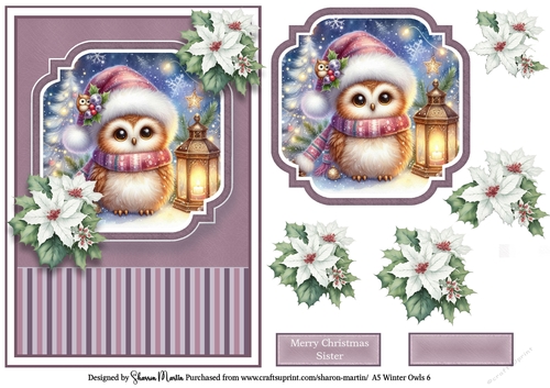 A5 Winter Owls 6