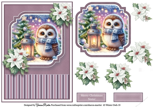 A5 Winter Owls 10