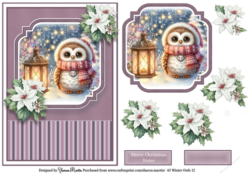 A5 Winter Owls 12
