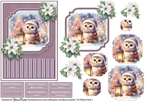 5x7 Winter Owls 1