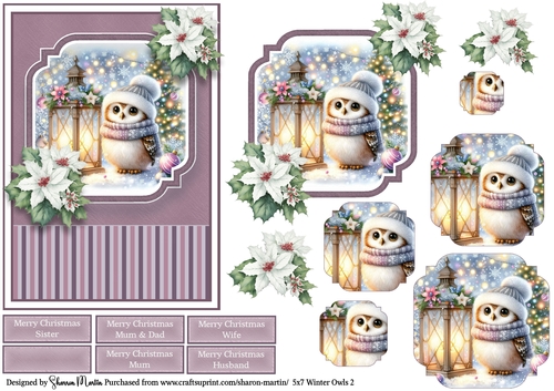 5x7 Winter Owls 2