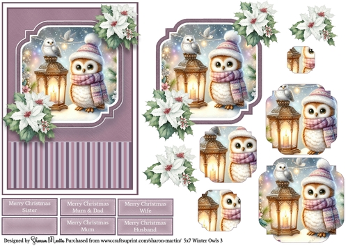 5x7 Winter Owls 3