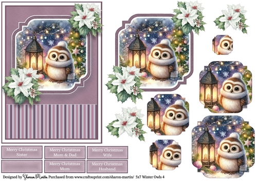 5x7 Winter Owls 4
