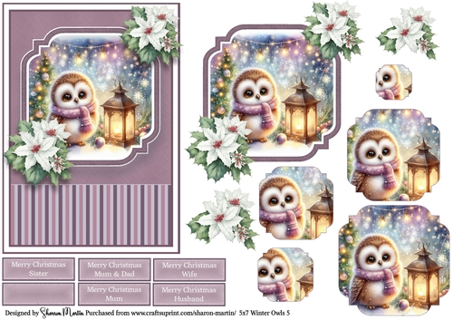 5x7 Winter Owls 5