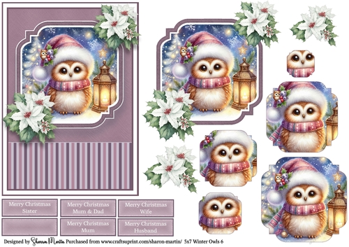 5x7 Winter Owls 6
