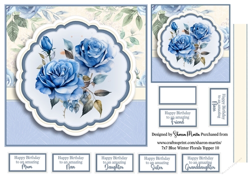 7x7 Blue Winter Florals T10 - Quick Card