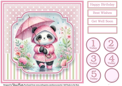 8x8 Panda in the Rain T1