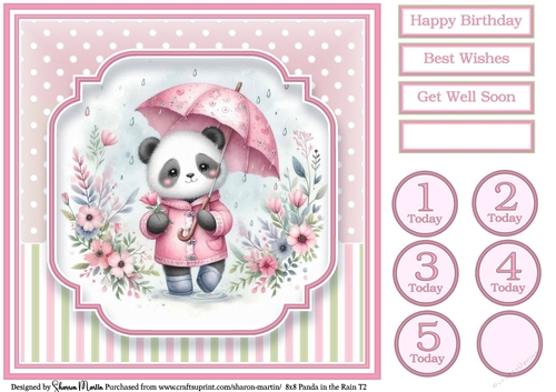 8x8 Panda in the Rain T2