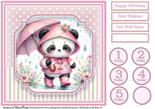 8x8 Panda in the Rain T3