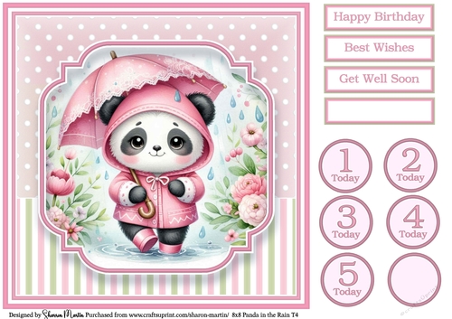 8x8 Panda in the Rain T4