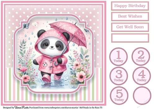 8x8 Panda in the Rain T5