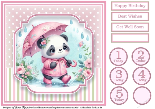 8x8 Panda in the Rain T6