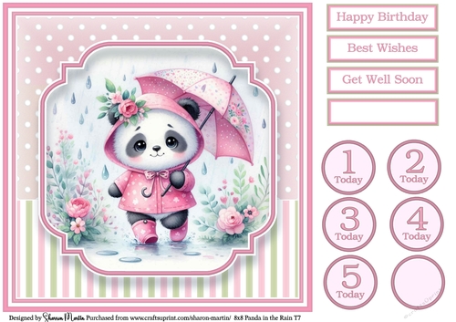 8x8 Panda in the Rain T7