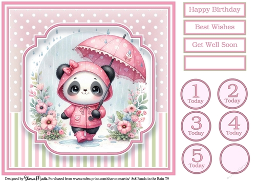 8x8 Panda in the Rain T9