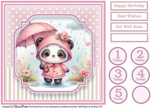 8x8 Panda in the Rain T10