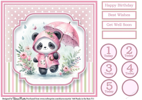 8x8 Panda in the Rain T11