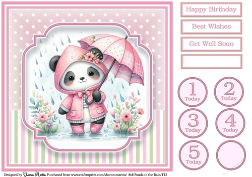 8x8 Panda in the Rain T12