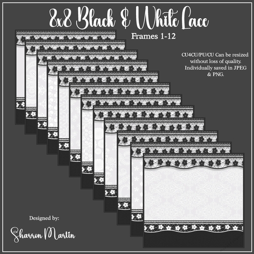 8x8 Black & White Lace Frames/Mats 1-12 in JPEG & PNG 