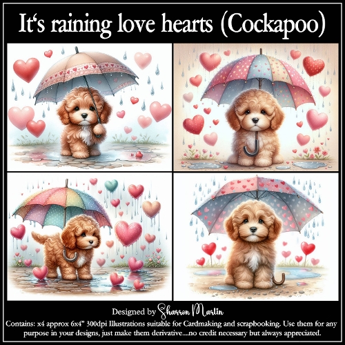 Its raining love and hearts (Cockapoo) 