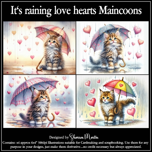 Its raining love and hearts Maincoons
