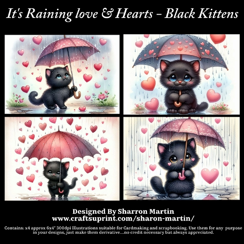 Its raining love and hearts - Black Kitten