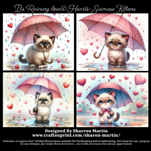 Its raining love and hearts - Siamese Kitten