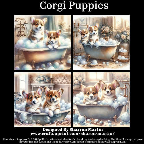 Corgi Puppies