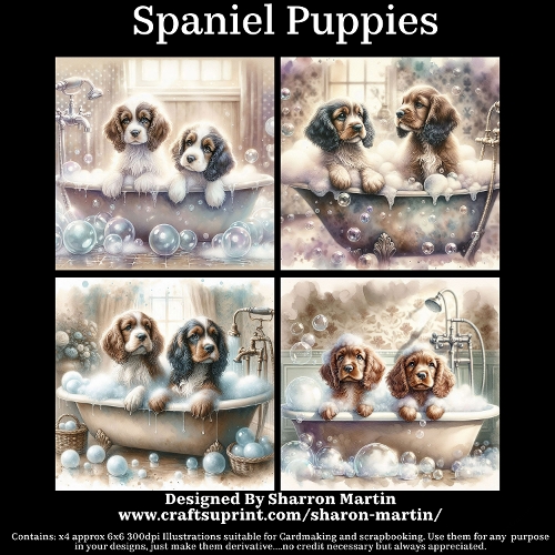 Spaniel Puppies