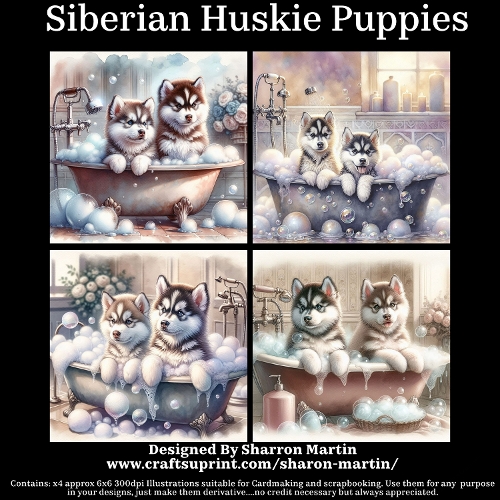 Siberian Huskie Puppies