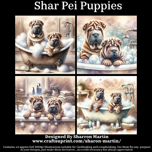 Shar Pei Puppies