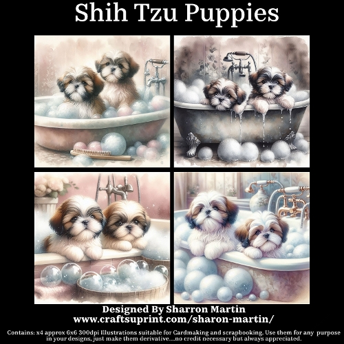 Shih Tzu Puppies 