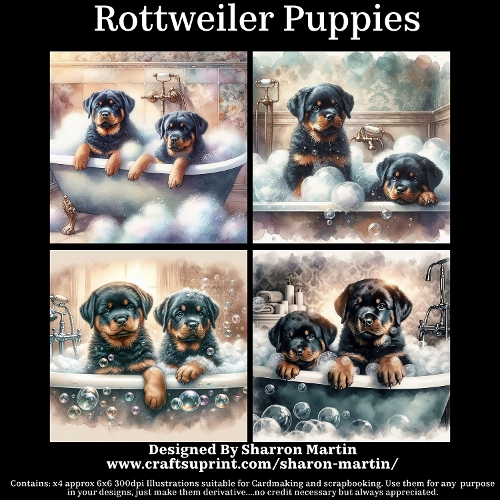 Rottweiler Puppies 