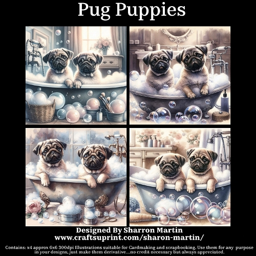 Pug Puppies 
