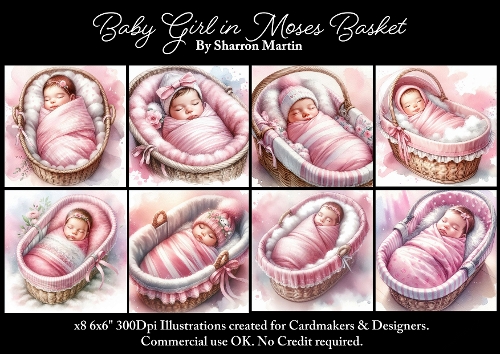 x8 Baby Girl in Moses Basket - Illustrations for Cardmakers & Designers JPEG & PNG 