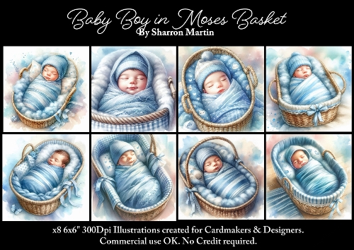 x8 Baby Boy in Moses Basket - Illustrations for Cardmakers & Designers JPEG & PNG 